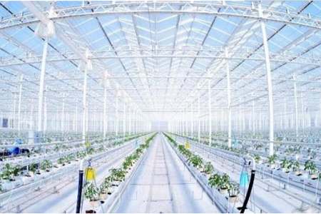 利用物联网技术，补偿传统农业弊端的现代农业，对植株的生长环境需求进行“精确”的定量，对产量进行有效率的制约，对质量更好的把关，农业物联网由感知层、传输层和处理层三部分构成